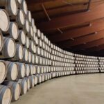 Haza: Ribera del Duero Winery Tour and Wine Tasting - Who Will Enjoy This Tour?