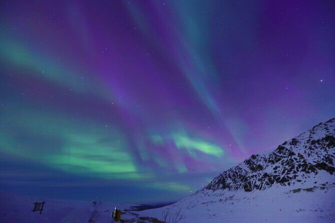 Heated and Enclosed ATV Tour in Alaska. Open All Year Round - Final Thoughts