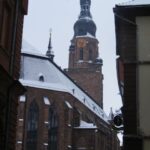 Heidelberg: 2-Hour Crime Tour with Costumed Guide - Is the Price Worth It?