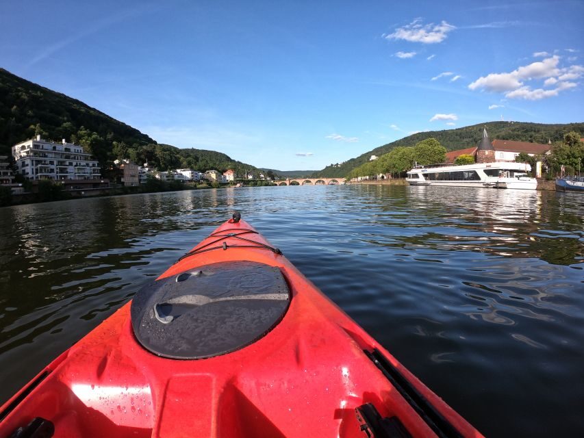Heidelberg: 2-Hour Kayak Tour - Who Should Consider This Tour?