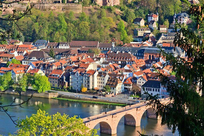 Heidelberg and Baden-Baden Tour from Frankfurt - Practical Details and What to Expect