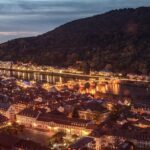 Heidelberg and Rhine Valley Day Trip With Wine Tasting and Dinner from Frankfurt - Is This Tour Right for You?