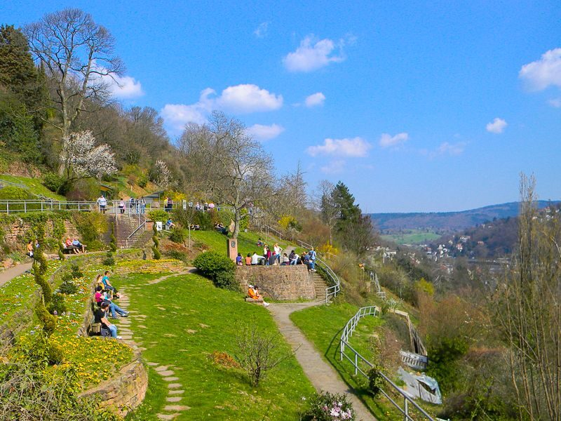 Heidelberg Castle Tour: Residence of the Electors - The World’s Largest Wine Barrel and Wine Tasting
