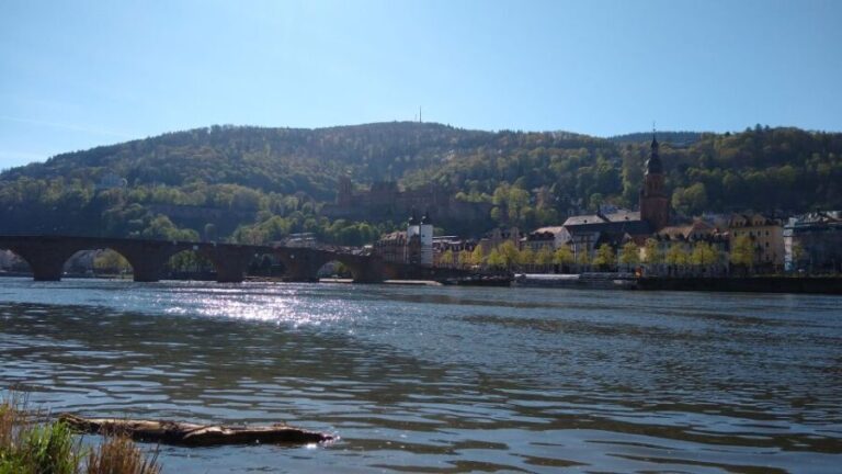 Heidelberg: Guided Bike Tour - The Value of the Tour: Whats Included and Whats Not