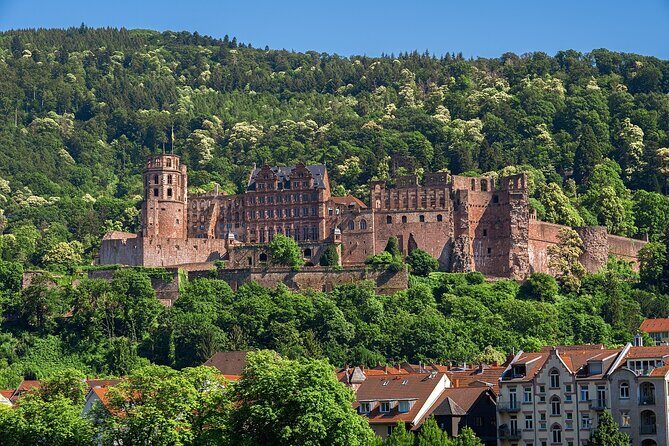 Heidelberg Heritage: Private Old Town and Castle Tour - What’s Included and What’s Not