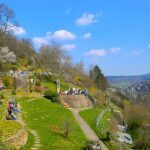 Heidelberg: Private 3-Hour Tour with Castle Visit - What’s Included and What’s Not?
