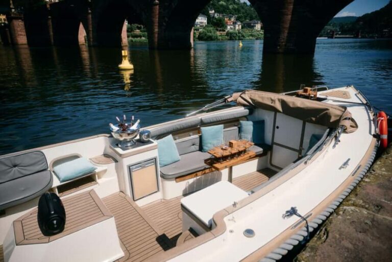 Heidelberg: Private boat trip with captain, 1.5 hours, up to 12 guests, from 40 per person. - Pricing and Value