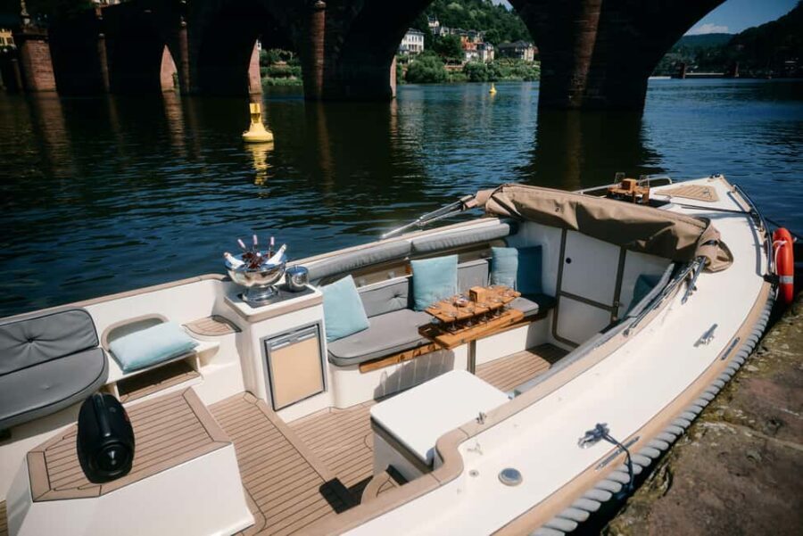 Heidelberg: Private boat trip with captain, 1.5 hours, up to 12 guests, from 40 per person. - Pricing and Value