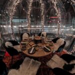 Heidelberg: Private Igloo Dinner on the Neckar - What to Expect from the Experience