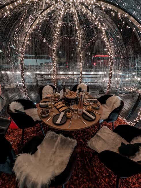 Heidelberg: Private Igloo Dinner on the Neckar - What to Expect from the Experience