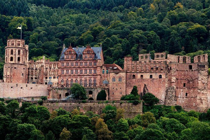 Heidelberg Public Walking Tour With A Professional Guide - Is It Worth the Price?