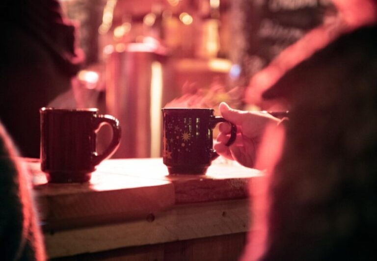 Heidelberg: Sightseeing Boat Tour with Mulled Wine - An In-Depth Look at the Heidelberg Boat Tour