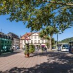 Heidelberg: Sightseeing Bus and Castle Tour - Who Should Consider This Tour?