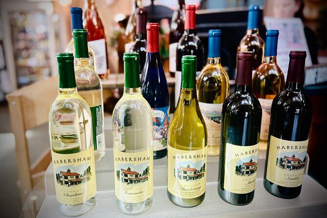 Helen N. Georgia Private Winery Tour, Dine and Shop from Atlanta - What Could Be Better?