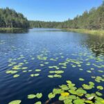 Helsinki: Nuuksio National park hiking with campfire lunch - The Route and Stops