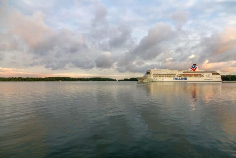 Helsinki: Overnight Ferry to Tallinn with Sea-View Cabin - Who Is This Tour Best Suited For?