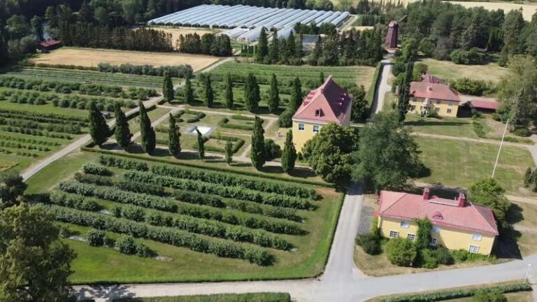 Helsinki: Private Visit to Finnish Berry Winery with Tasting - Practical Considerations