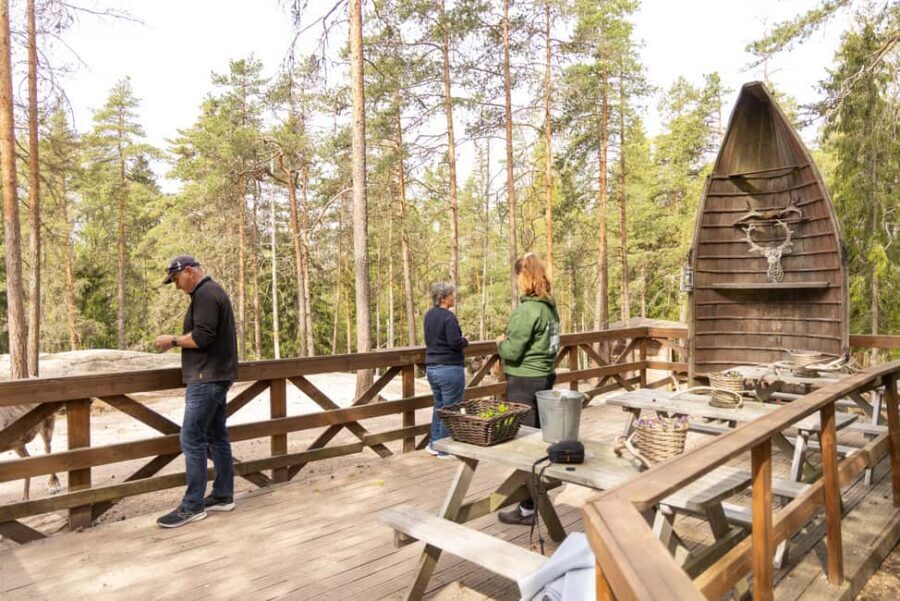 Helsinki: Reindeer Park visit and Buggy Adventure - What to Expect: The Details that Matter