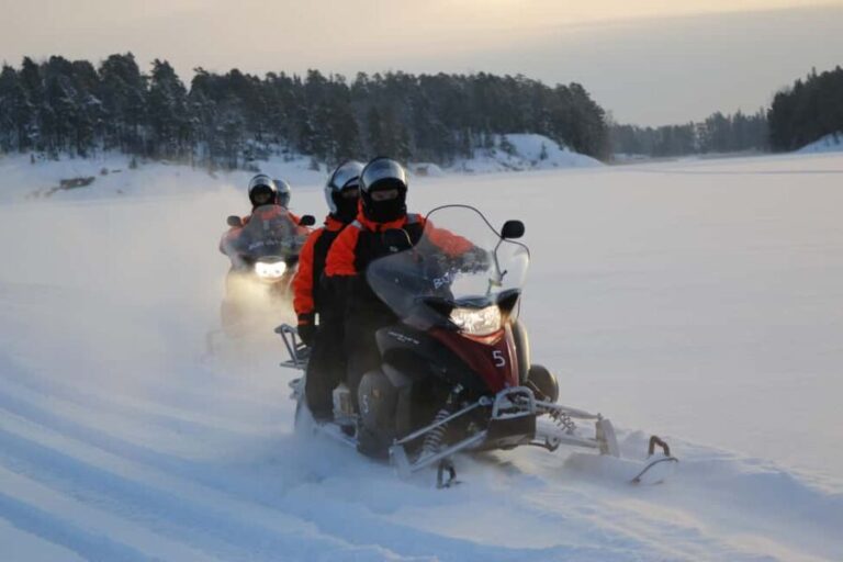 Helsinki: Snowmobile Tour with Lunch and Transfers - The Practicalities: Logistics, Cost, and Value