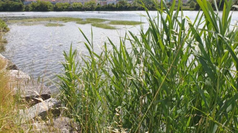 Hendaye/Irun 6 km - The Experience in Detail