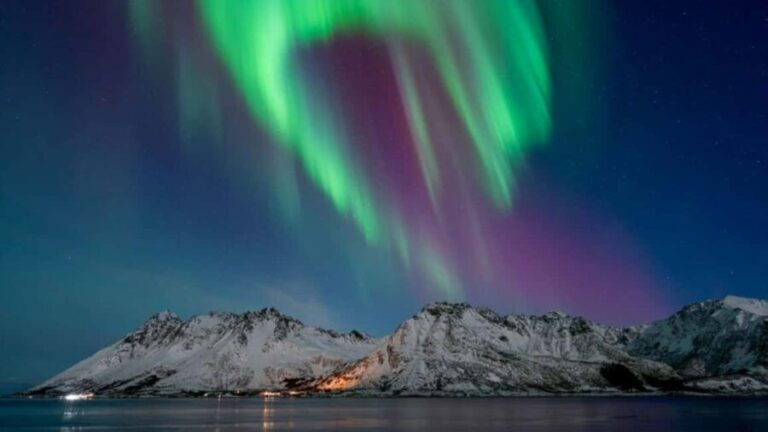 Henningsvær: Northern Lights Tour with Photographer - Price and Getting Value