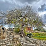 Heraklion: Archeological Museum of Heraklion Entrance & Tour - Final Thoughts