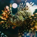 Heraklion Area: CRETAquarium Admission Ticket - What to Expect at Cretaquarium