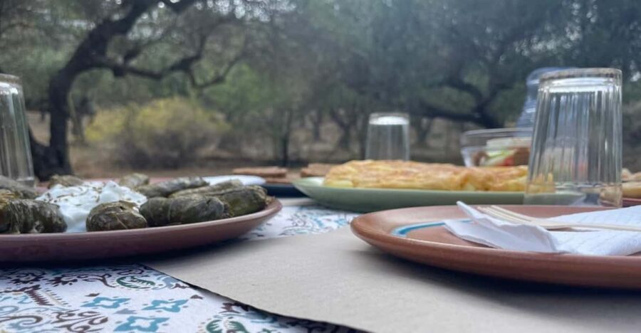 Heraklion: Cretan Farmers Brunch and Olive Grove Tour - Who Should Consider This Tour?