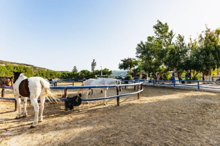 Heraklion: Finikia Horse Riding Tour with Lunch or Dinner - The Experience: Why It’s Special