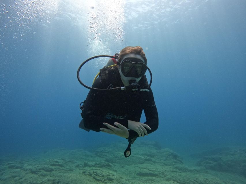 Heraklion: Try Scuba Diving For Beginners (1 dive) - What to Expect from the Tour