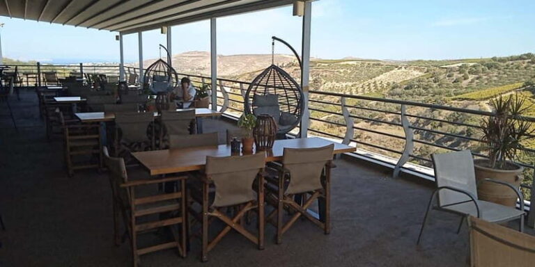 Heraklion: Wine, Olive Oil & Cheese Gastronomic Experience - What to Expect on the Tour