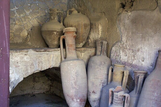 Herculaneum Guided Tour with Pick Up in Naples - Value for Money