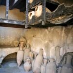 Herculaneum: Private Tour with Driver from Naples - What You Can Expect from This Tour
