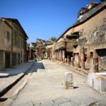 Herculaneum Private Tour with wine and lunch option on Vesuvius - What Makes This Tour Stand Out
