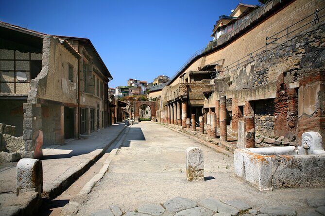 Herculaneum Private Tour with wine and lunch option on Vesuvius - What Makes This Tour Stand Out