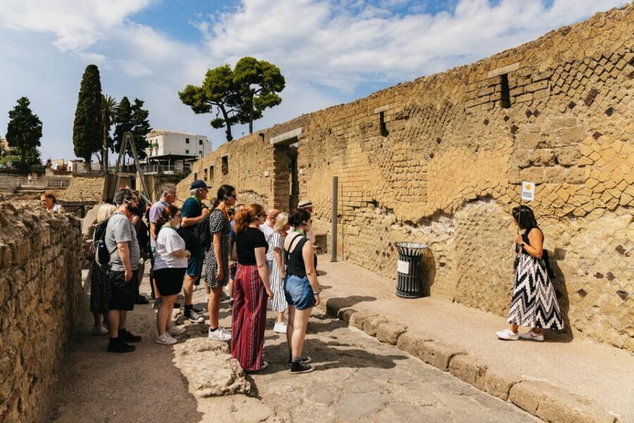 Herculaneum: Skip-the-Line Guided Tour with Archaeologist - What to Expect from the Tour