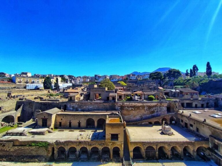 Herculaneum with an Archaelogical Guide & Ticket - Who Should Book This Tour?