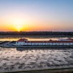 Herdade da Comporta Premium Winetasting - The Vineyard Setting