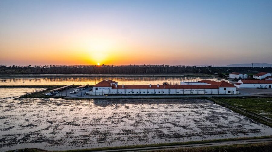 Herdade da Comporta Premium Winetasting - The Vineyard Setting