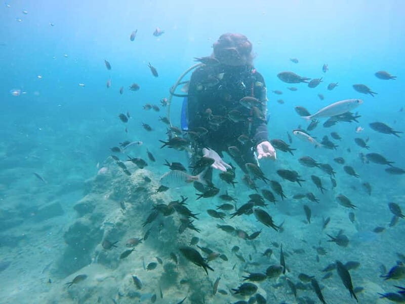 Hersonissos, Stalida: Scuba Diving Experience for beginners - What’s Included & What You Need to Know