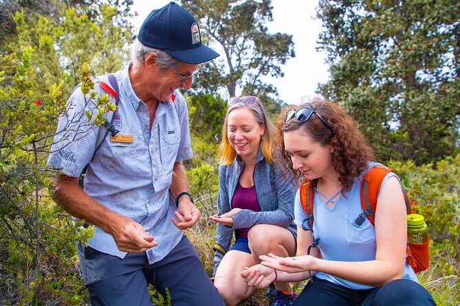 Hidden Craters Hike of Kona - The Sum Up