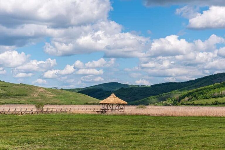 Hidden Transylvania: Bánffy Castle, Armenopolis & Delta Tour - Practical Details & What to Expect