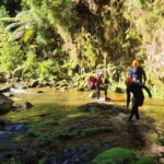 High Canyoning: Medium-High Level Canyoning Tour - What to Expect from the High Canyoning Tour