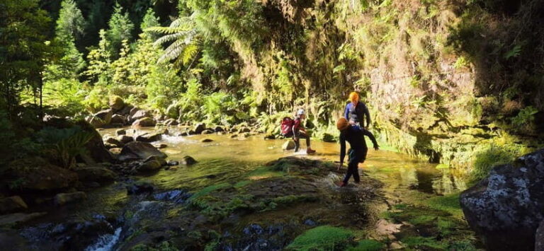 High Canyoning: Medium-High Level Canyoning Tour - What to Expect from the High Canyoning Tour