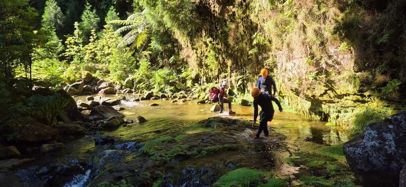 High Canyoning: Medium-High Level Canyoning Tour - What to Expect from the High Canyoning Tour
