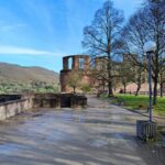 High Lights of Heidelberg - Private Tour of Castle and Town - Practical Details and Tips