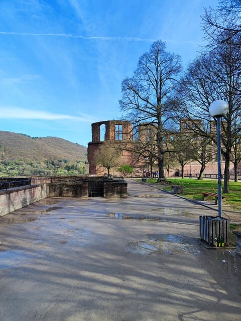High Lights of Heidelberg - Private Tour of Castle and Town - Practical Details and Tips