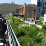 High Line and Hudson Yards Private Walking Tour - Who Would Love This Tour?