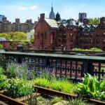 Highline and Chelsea Markets Tour - What We Think About the Value