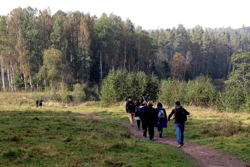 Hike In Gauja National Park - Sigulda - What Travelers Say About This Tour